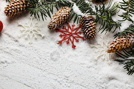 雪白圣诞节背景有fir树枝和松锥雪白圣诞节背景有fir树枝和松锥图片