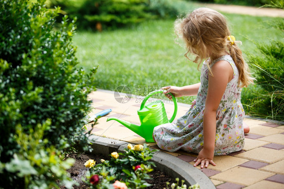 在花园里浇水的可爱小女孩图片