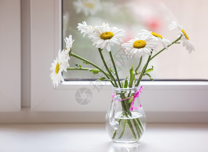 窗台上的花束朵图片