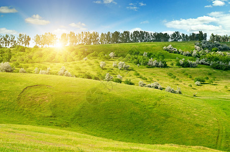 山丘绿地和蓝天上的太阳喷发着农业景观图片