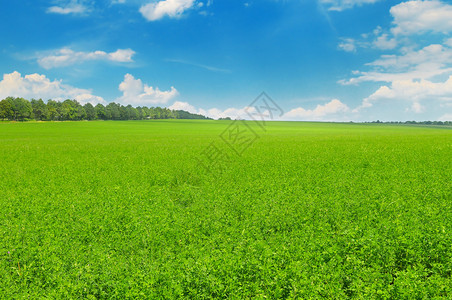 绿地和蓝天空云彩明亮农业地貌图片