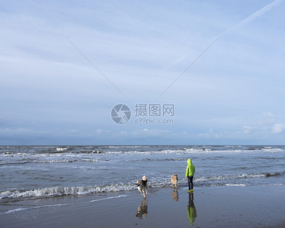 北荷兰部杜特奇省海滨的男孩和狗图片