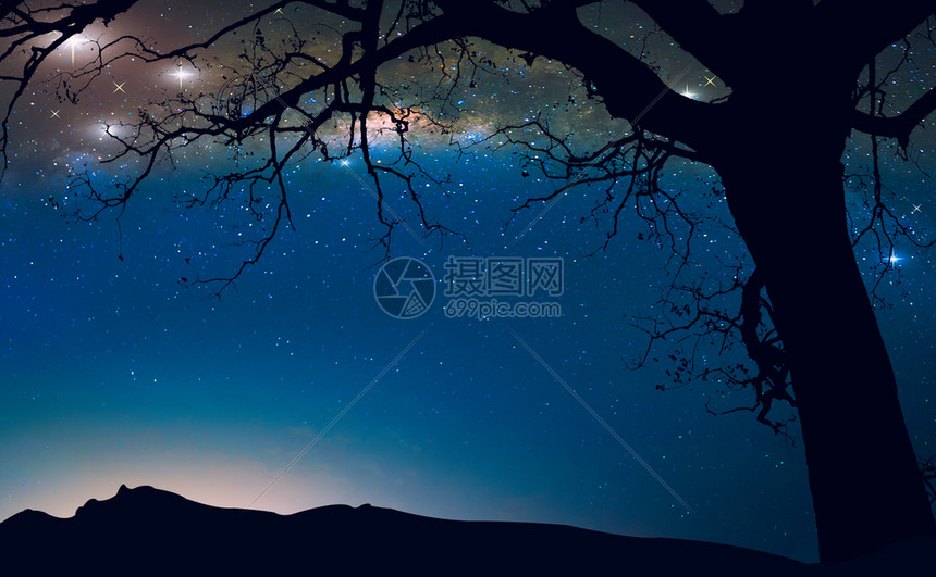 在夜空和枯树的乳汁幻想风景背高清图片下载 正版图片 摄图网
