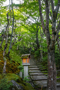 日本京都荒山竹林中的神殿神灯日本京都久子寺的灯图片