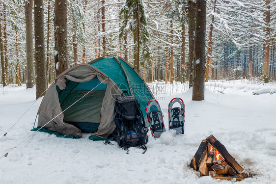 在冬季森林的雪和火中封闭帐篷没有人图片