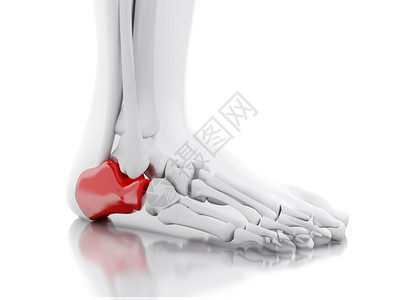 3d说明白色背景上疼痛的脚踝医学概念图片