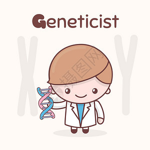 可爱的Chibkaw字符母专业G基因学家平板漫画风格图片