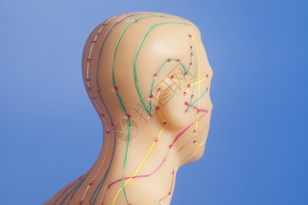蓝底人类头部的血压清针孔模型背景图片