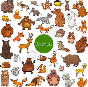野生哺乳动物插图图片