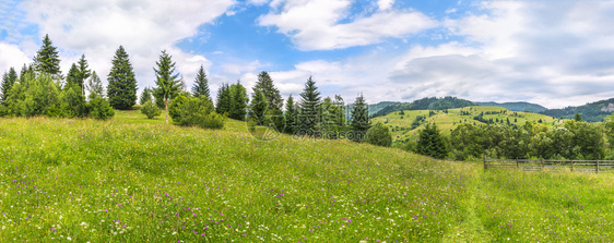 美丽的春全景充满了多彩的田野花朵一条足迹和连串绿树靠近罗马尼亚的萨多瓦镇图片