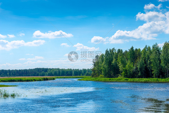 阳光明媚的一天美丽风景农村的河流图片