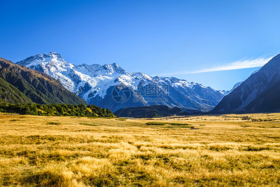 新的西兰泽州高山风景新西兰州高山地景观图片