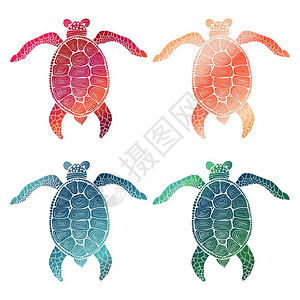 手绘彩色海龟图片