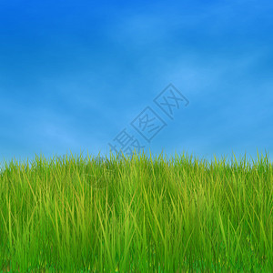 3d绿草和蓝天空的夏季自然背景图片