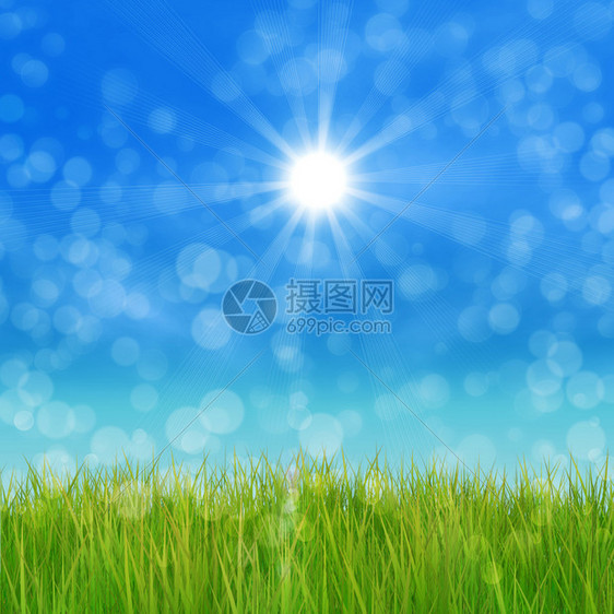 3d绿草和蓝天空的夏季自然背景图片