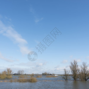 河水淹的艾塞尔河洪泛平原和内甘彭与兹沃勒之间盐酸附近船只洪泛的平原图片