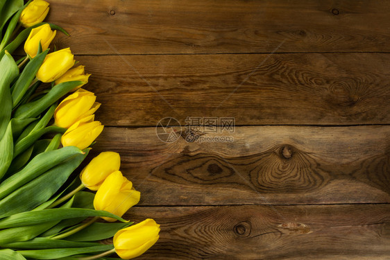 木制背景的黄色郁金图复制空间春花鲜贺明信片木制背景的黄色郁金图图片