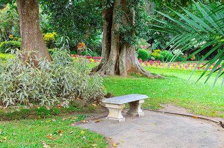 美丽的热带公园和石凳供休息美丽的热带公园配有树木和鲜花图片