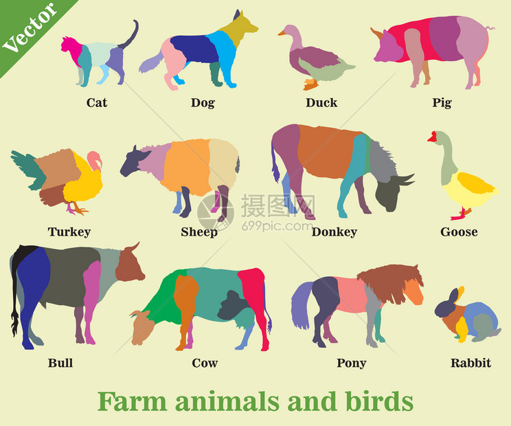 一组在绿色背景下隔离的矢量多彩农畜和鸟类狗猫牛火鸡驴猪兔子鹅羊鸭公牛环形轮廓图片