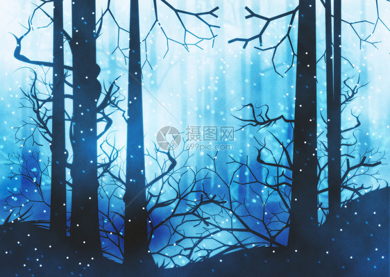 寒冬森林季雾夜间有树影插图图片
