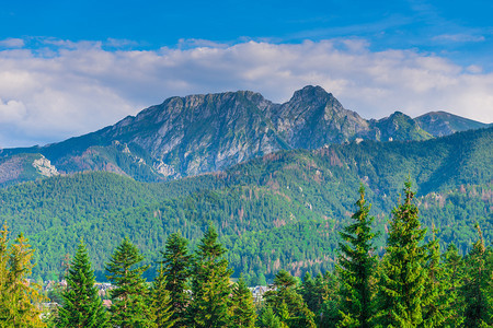塔特拉山脉高周围环绕着一个隐宫塔特拉山脉高周围环绕着一个隐宫森林美丽的风景图片