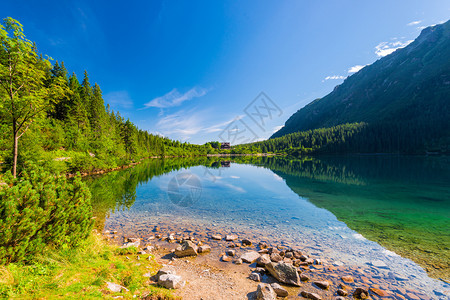 由塔特拉山区森林环绕的Morskye湖Pland图片