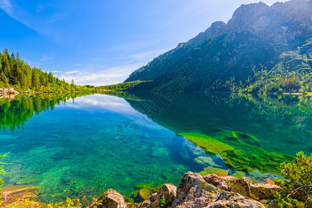 塔特拉海眼中美丽的湖泊透明水图片
