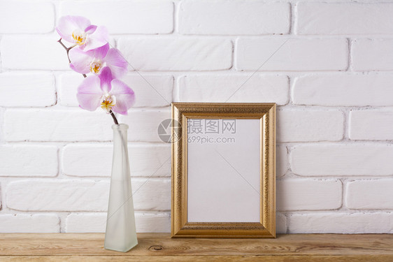在优雅的玻璃花瓶中用粉红兰花的鲜色兰花制成的模型用于展示艺术品的空框架现代艺术的模板由粉红兰花制成的彩色模型图片