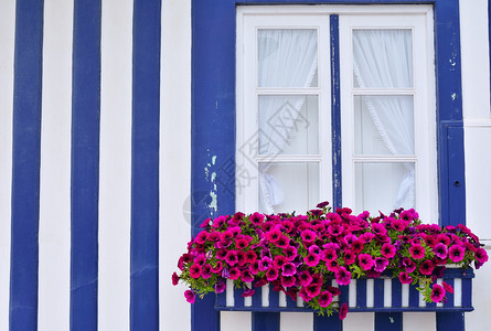 在一栋用花装饰的旧房子窗户上美丽紫色花朵在开阔的近窗中图片