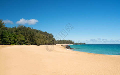 在平静的一天哈瓦伊群岛kaui的lmhi海滩金色沙子和温暖的绿海洋图片