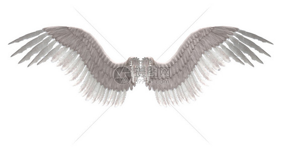 天使翅膀数字化的白色羽毛天使翅膀图像图片