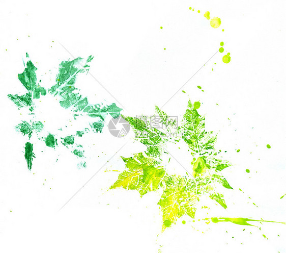 叶的印记叶的艺术印记绿色和黄的古阿希画图片
