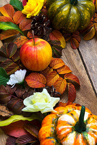 由苹果绿南瓜和橙组成的感恩奖装饰由苹果多彩秋叶绿南瓜和橙组成的感恩奖装饰图片
