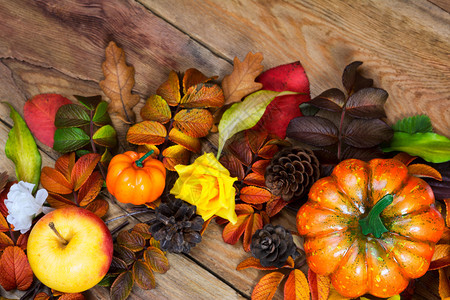 感恩松果和彩色秋叶树花圈木本底顶层风景图片
