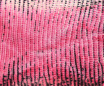 粉色蜥蜴皮底的草纹理图片