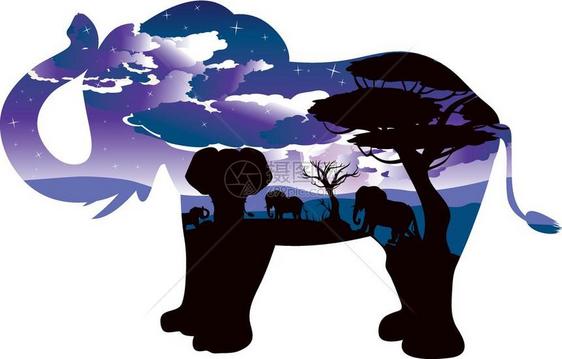 大象轮廓非洲之夜图片
