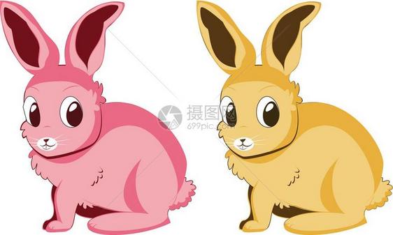 粉色和黄色的兔子图片