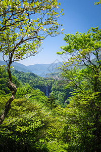 喀贡瀑布和楚曾吉湖风景尼克科雅潘卡贡瀑布和楚曾吉湖雅潘图片