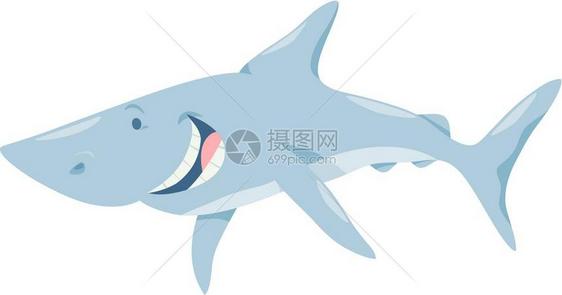有趣的鲨鱼图片