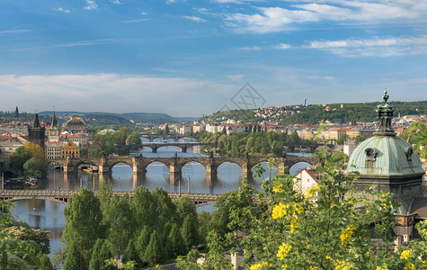 由许多美丽的桥梁和古老建筑跨越的伏尔塔瓦河图片