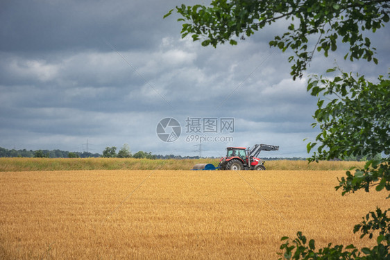 农业图象显示拖拉机穿过黄麦田夏季的阴云日落靠近德国的shwabic大厅图片