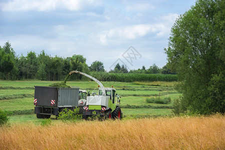 在德国badenwurtmbg地区使用自行推进的饲料采草和装载拖车进行农业活动图片