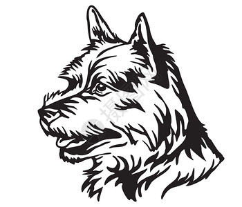 用于设计和纹身的图象用于设计图象和纹身的用于说明狗诺威治梯体的装饰肖像图片