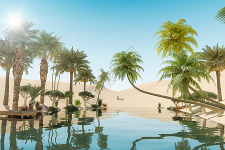 沙漠中的绿洲和棕榈树背景图片