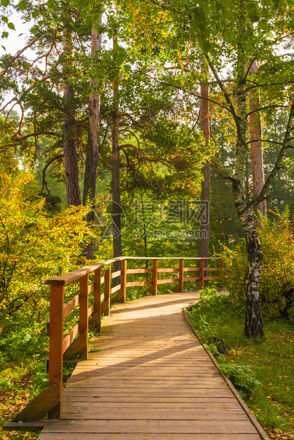 在阳光明媚的奥克托白日秋天公园的木条小路图片