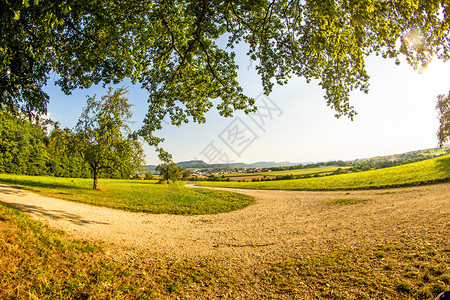 草地树和望向德国高地的图片