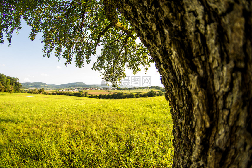 以草地树木和望向德意志高原的草和树
