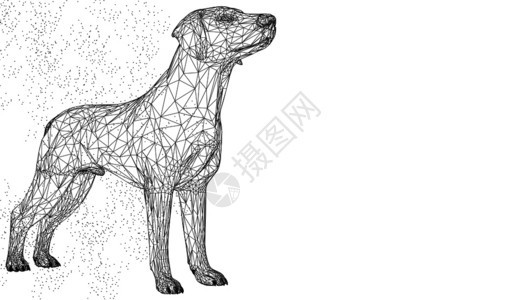 多边形三角几何背景创意概念草图有趣的狗图片