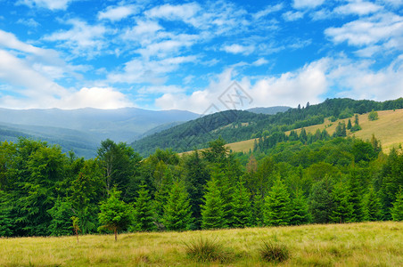 山坡隐形树和天空中的云层美景和丽的象位置是喀尔巴阡乌黑欧洲概念生态保护探索世界和美观图片