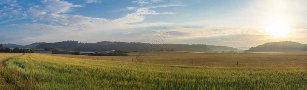 草场谷物田山丘森林和现代农场的日出背景图片